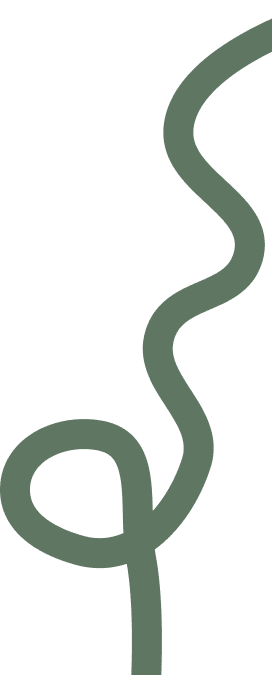 krul-text-media-homepagina-2